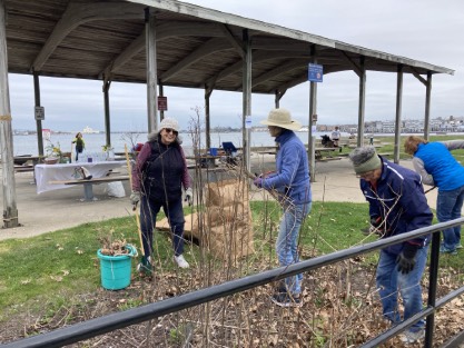 FOW organized waterfront park clean ups
