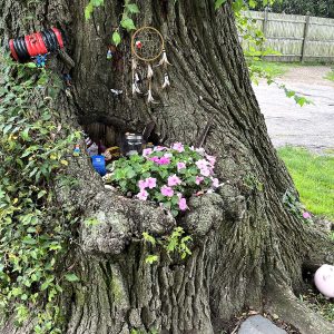 Small art display inside of a tree at Battery Park